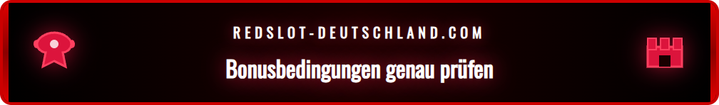 Nahaufnahme eines Dokuments mit den Bonusbedingungen eines Online Casinos.