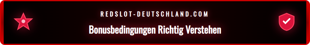 Eine Infografik erklärt die wichtigsten Bonusbedingungen wie Umsatzanforderungen und Gültigkeit.