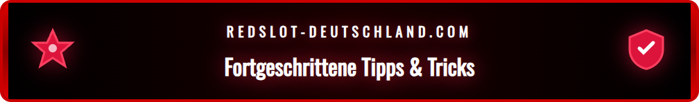 Infografik mit Tipps und Tricks für eine schnelle Redslot ID Prüfung.